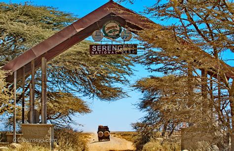 wildlife  serengeti national park gc journeys