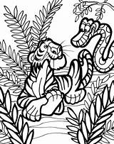 Ausmalbilder Dschungeltiere Selva Dschungel Malvorlagen sketch template