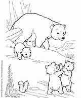 Coloring Bear Pages Wild Animal Animals Cubs Kids Playful Honkingdonkey Bears Activity Printable sketch template
