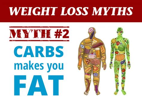 10 weight loss myths 2 carbs make you fat dr sam robbins