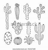 Cactus Coloring Outline Pages Vector Plants Nature Drawn Hand Sketch Plant Template Draw Tumbleweed Drawing Drawings Cacti Elements Illustrations Set sketch template