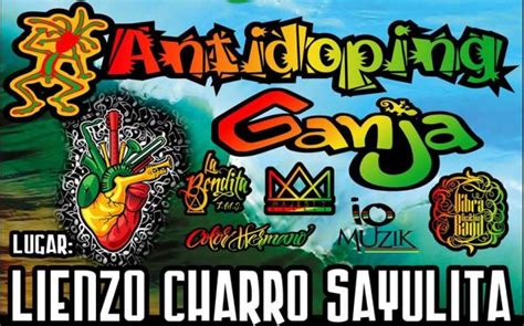 festival de reggae en sayulita el sol de nayarit