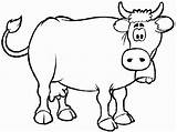 Pages Cows Coloring Print Animal sketch template
