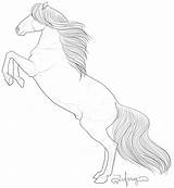 Lipizzaner Coloring Horse Rearing Comments Andalusian sketch template