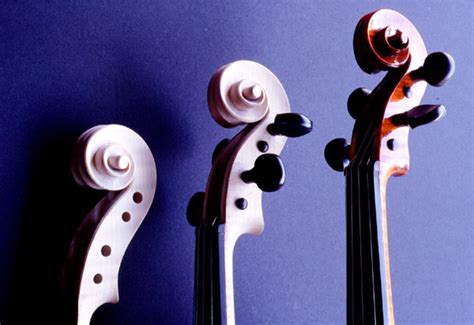 Violins Violini Viola Chitarre Musical Instruments