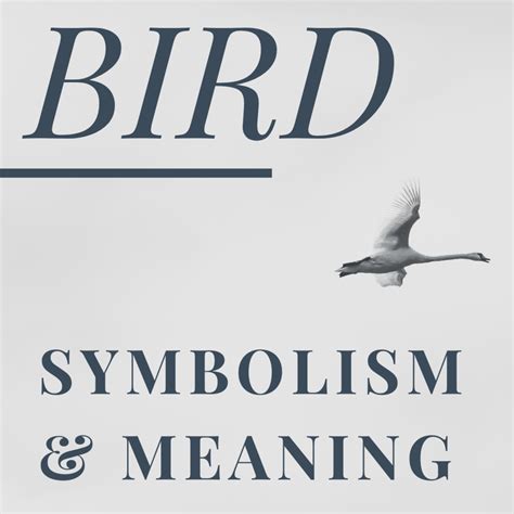 bird symbolism spiritual meanings  omens explained exemplore
