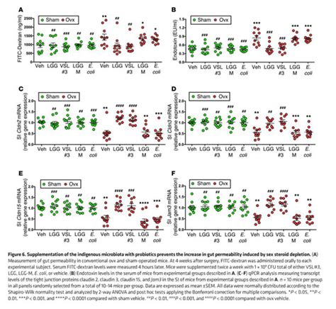 Sex Steroid Deficiency Associated Bone Loss Is Microbiota Dependent And