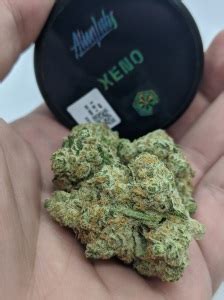 xeno  alien labs west coast weed reviews