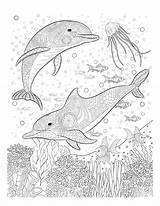Coloring Pages Ocean Adults Adult Dolphin Animals Underwater Mandala Print Erwachsene Printable Color Colouring Sheets Book Für Animal Oceana Life sketch template