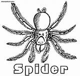 Arachnid Tarantula Designlooter sketch template