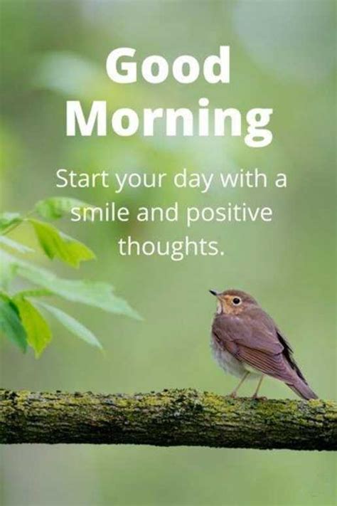 Good Morning Quotes Good Morning Start Your Day Smile And