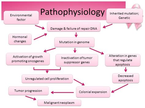 pathophysiology public health notes