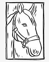 Horse Arabian Clipartkey 33kb sketch template