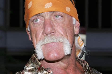 Hulk Hogan Sex Trial Against Gawker To Hear New Court Date