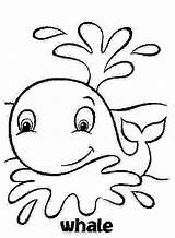 Whale Baby Template Coloring Pages sketch template