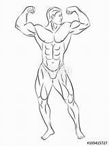 Drawing Bodybuilding Bodybuilder Getdrawings sketch template