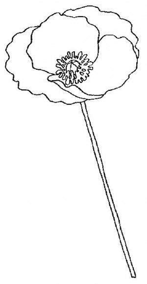 pin   flowers coloring book
