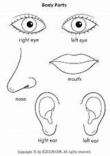 Nose Mouth Printable Basteln sketch template
