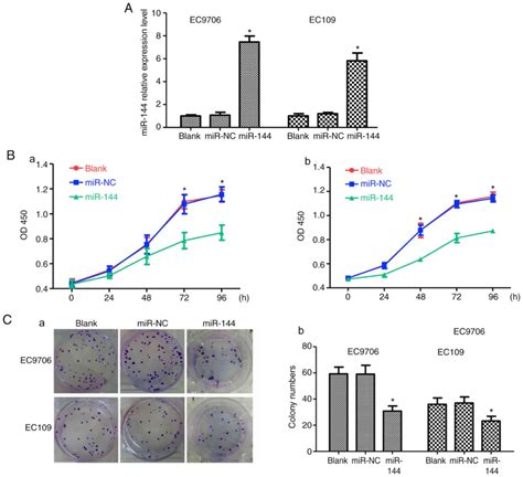 microrna‑144 inhibits cell proliferation and invasion by directly