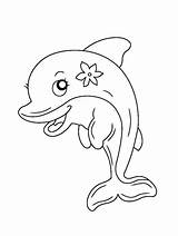 Pages Coloring Dolphin Cute sketch template