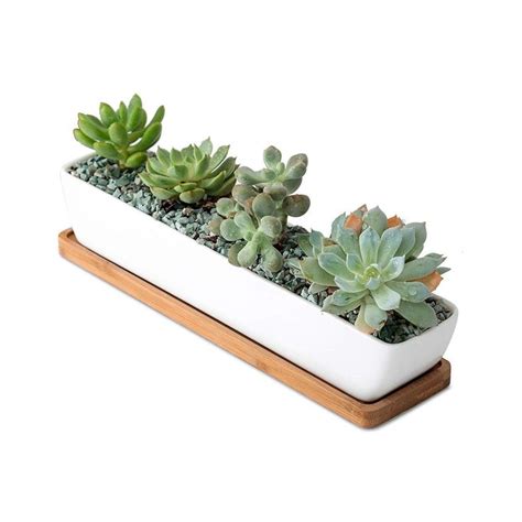 succulents   white planter   wooden stand   white
