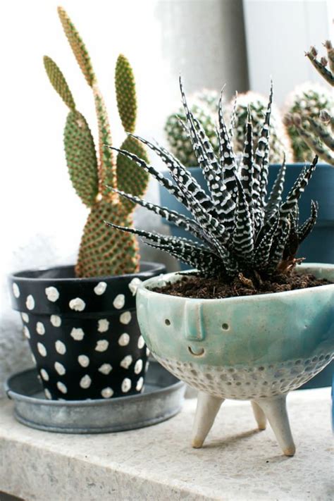 great ideas  display houseplants indoor plants decoration