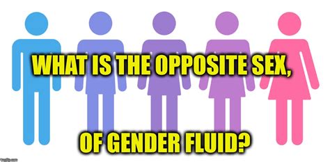 gender solid or gender gas imgflip