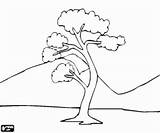 Tree Lonely Coloring Designlooter Lone Landscape sketch template