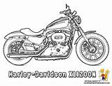 Coloring Pages Harley Davidson Motorcycle Logo Motorcycles Clipart Sheets Colouring Color Drawing Print Adult Motor Tattoo Cool Ktm Library Kleuren sketch template