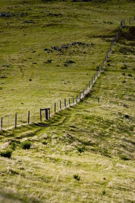 fence  stock photo image  barbed steep meadow