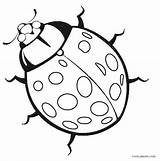 Coloring Ladybug Bug Pages Printable Insect Kids Cute Drawing Colouring Realistic Ladybird Line Bugs Lady Ladybugs Pill Cool2bkids Getdrawings Print sketch template