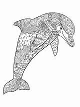 Tiere Erwachsene Volwassenen Delfin Kleurplaat Kleurplaten Delfino Malvorlagen Schwer Stampare Zentangle Malvorlage Kleuren Difficili Dolphins Stemmen sketch template