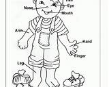 Coloring Human Preschoolers Toddler sketch template