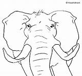 Elephant African Coloring Coloringcrew sketch template