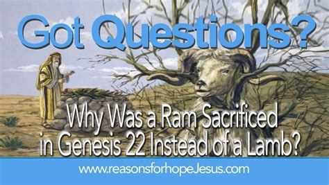 ram sacrificed  genesis     lamb god