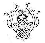 Thistle Scottish Line Drawing Celtic Tattoo Tattoos Google Symbols Search Knot Scotch Simple Dance Knotwork Coloring Embroidery Country Template Thistles sketch template