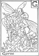 Coloring Fairies Pages Comments Flower sketch template