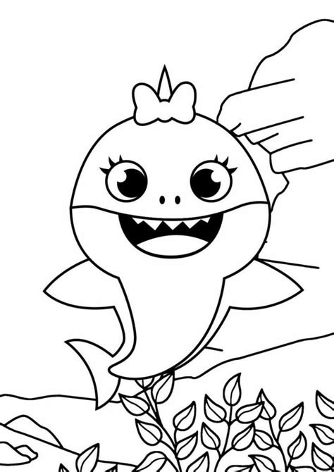 baby shark coloring pages  printable coloring pages