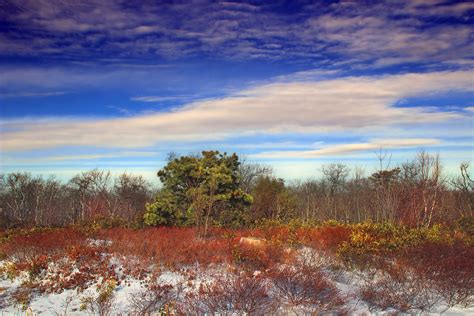 grand view trail revisited  heath barrens ricketts  flickr