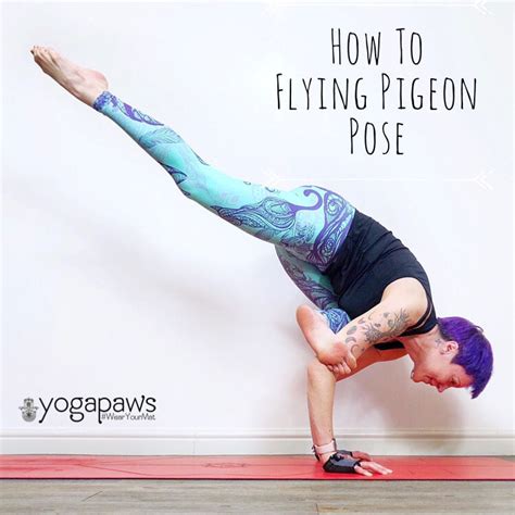 flying pigeon pose  jessi moore