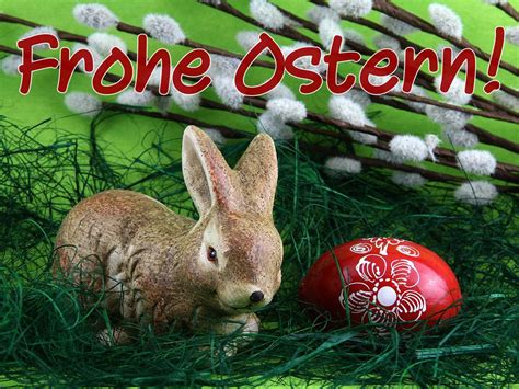 frohe ostern easter pictures  easter humor easter  xmas christmas ornaments