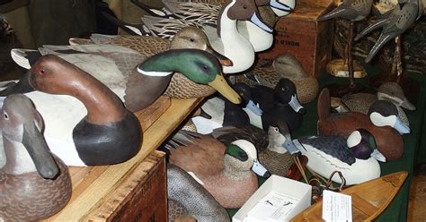 duck decoys calls  display  show