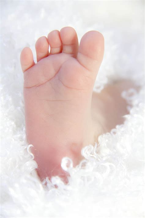 images hand people white petal feet kid cute leg love finger foot small child