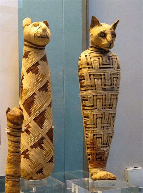 egyptian cat mummies c 1st century ad artefactporn