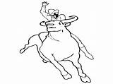 Bull Coloring Pages Riding Printable Bulls Chicago Bucking Drawing Color Ferdinand Template Matador Draw Getdrawings Getcolorings Popular Last Cowboy Books sketch template