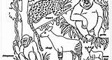 Animals Endangered Coloring Pages Extinct Species Land Drawing Animal Color Getcolorings Getdrawings Colorings Jungle Sheets sketch template