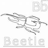 Beetle Darkling Beetles Coloringbay Coloringfolder sketch template