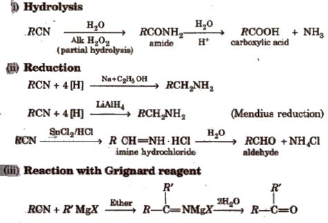 Cbse Class 12 Chemistry Notes Amines Aglasem Schools