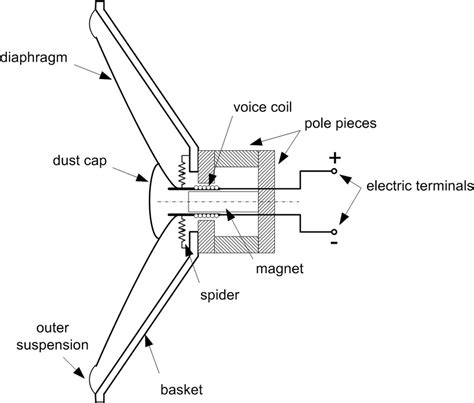 sectional view   electrodynamic loudspeaker  scientific diagram