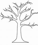 Tree Pecan Drawing Paintingvalley Draw Coloring sketch template